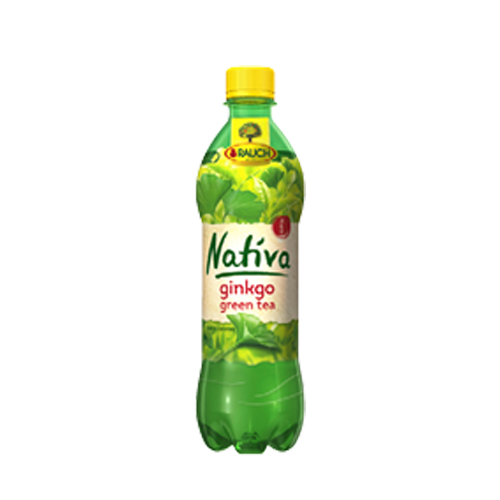 RAUCH Nativa Ginko Tea 0,5l