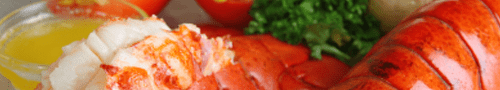 Fisch