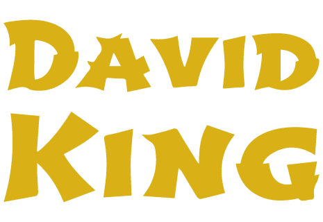 logo DAVID KING
