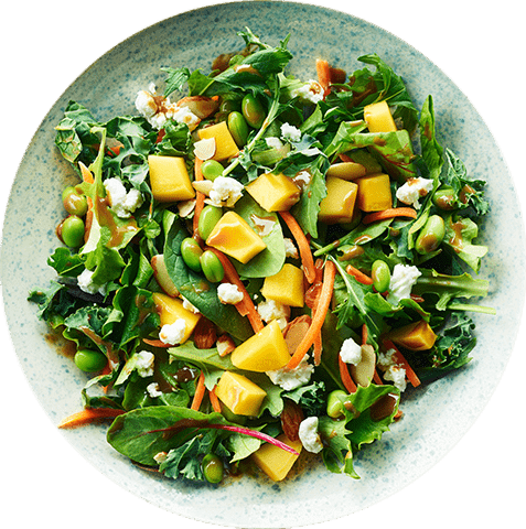Metaboost Salad